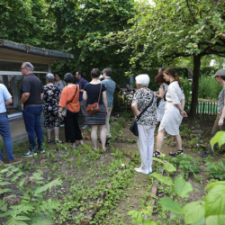 mmfest2024-hdg-foto5 Haus der Geschichte - Museumsmeilenfest 2024