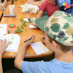 mmfest2024-museumkoenig-foto1 Museum Koenig Bonn - Museumsmeilenfest 2024