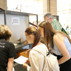 Museum Koenig Bonn - Museumsmeilenfest 2024